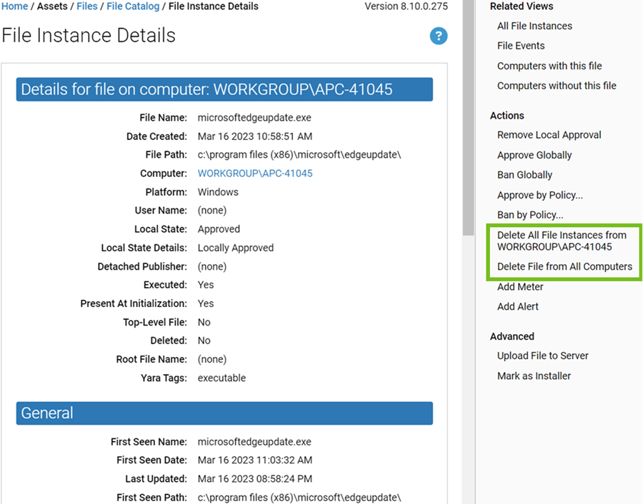 The File Instance Details page with the Delete fields highlighted