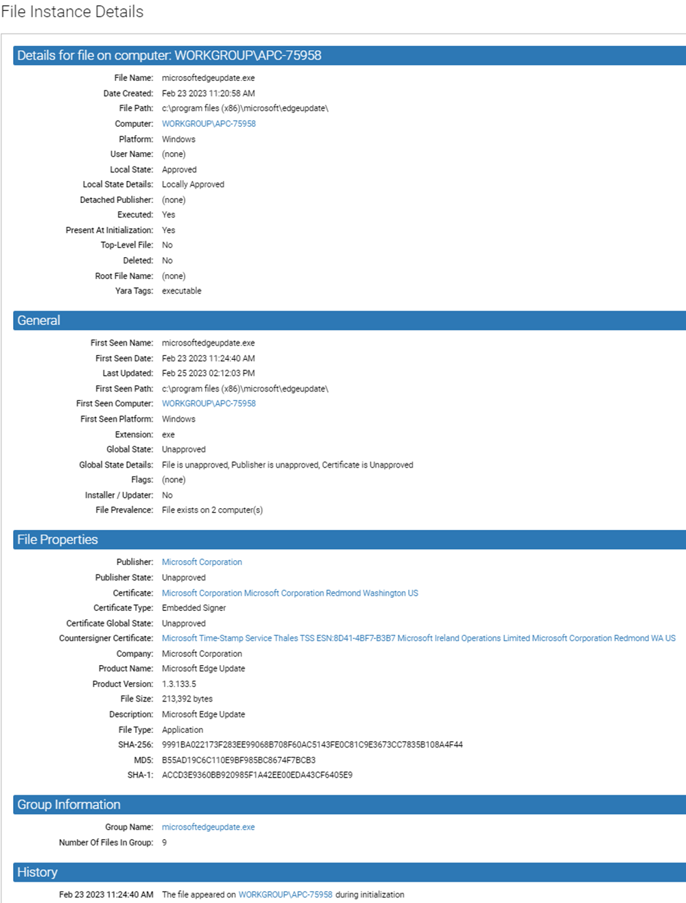 The File Instance Details page