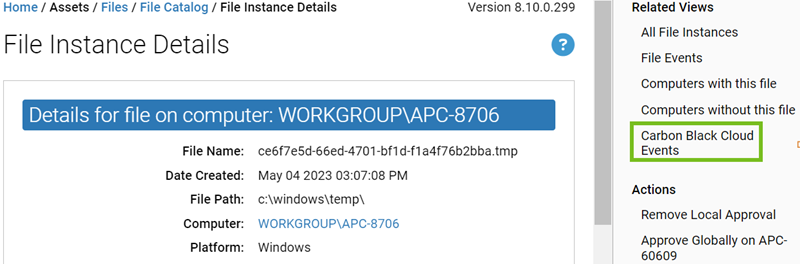 The File Instance Details page links when the connector is configured